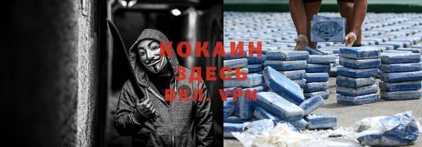 индика Горнозаводск