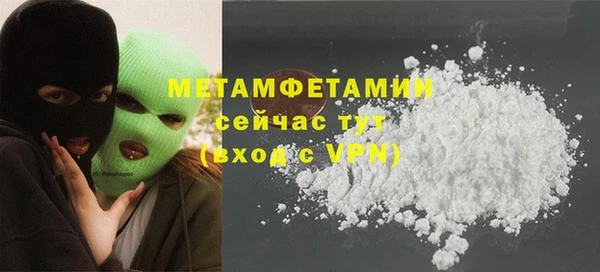 индика Горнозаводск
