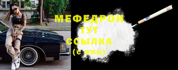 индика Горнозаводск