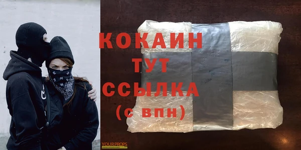 индика Горнозаводск