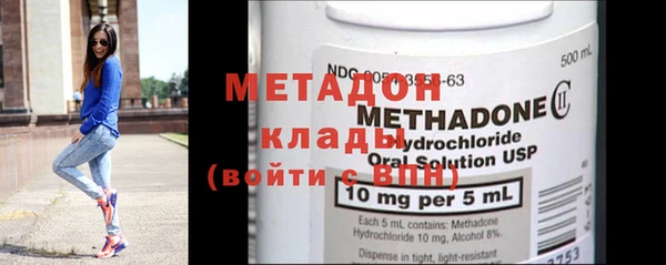 индика Горнозаводск