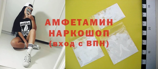 индика Горнозаводск