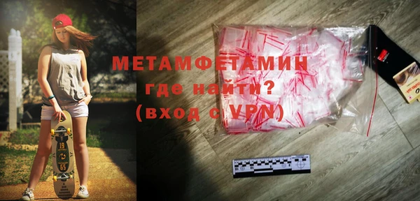 индика Горнозаводск