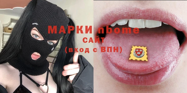 индика Горнозаводск