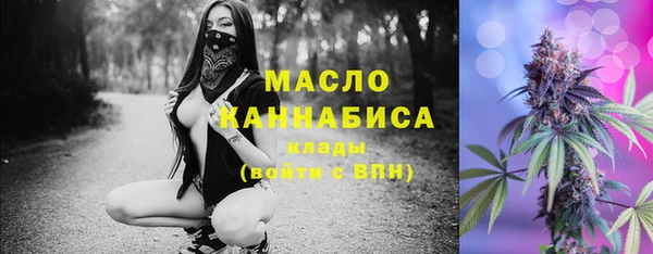 индика Горнозаводск