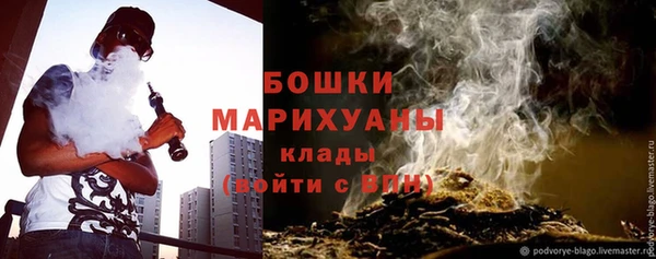 молекула духа Бутурлиновка