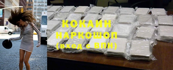 индика Горнозаводск