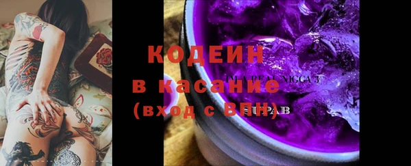 индика Горнозаводск