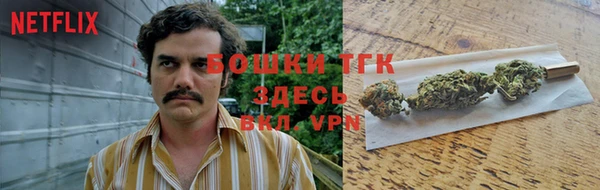 индика Горнозаводск