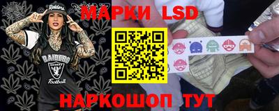 индика Кулебаки
