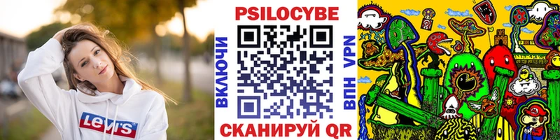 Галлюциногенные грибы Cubensis  omg tor  Грязи 