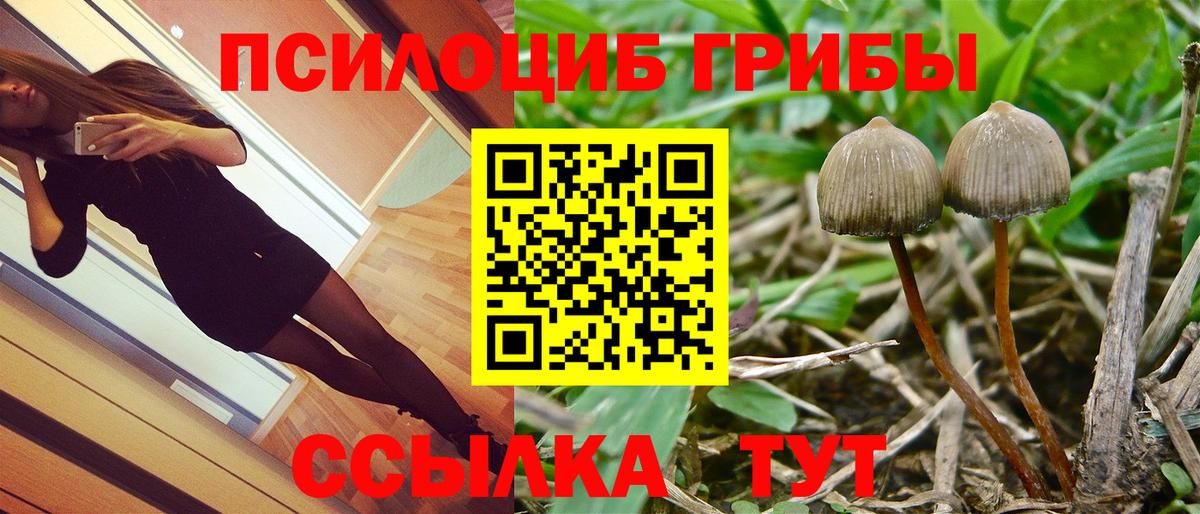Галлюциногенные грибы Psilocybe Грязи